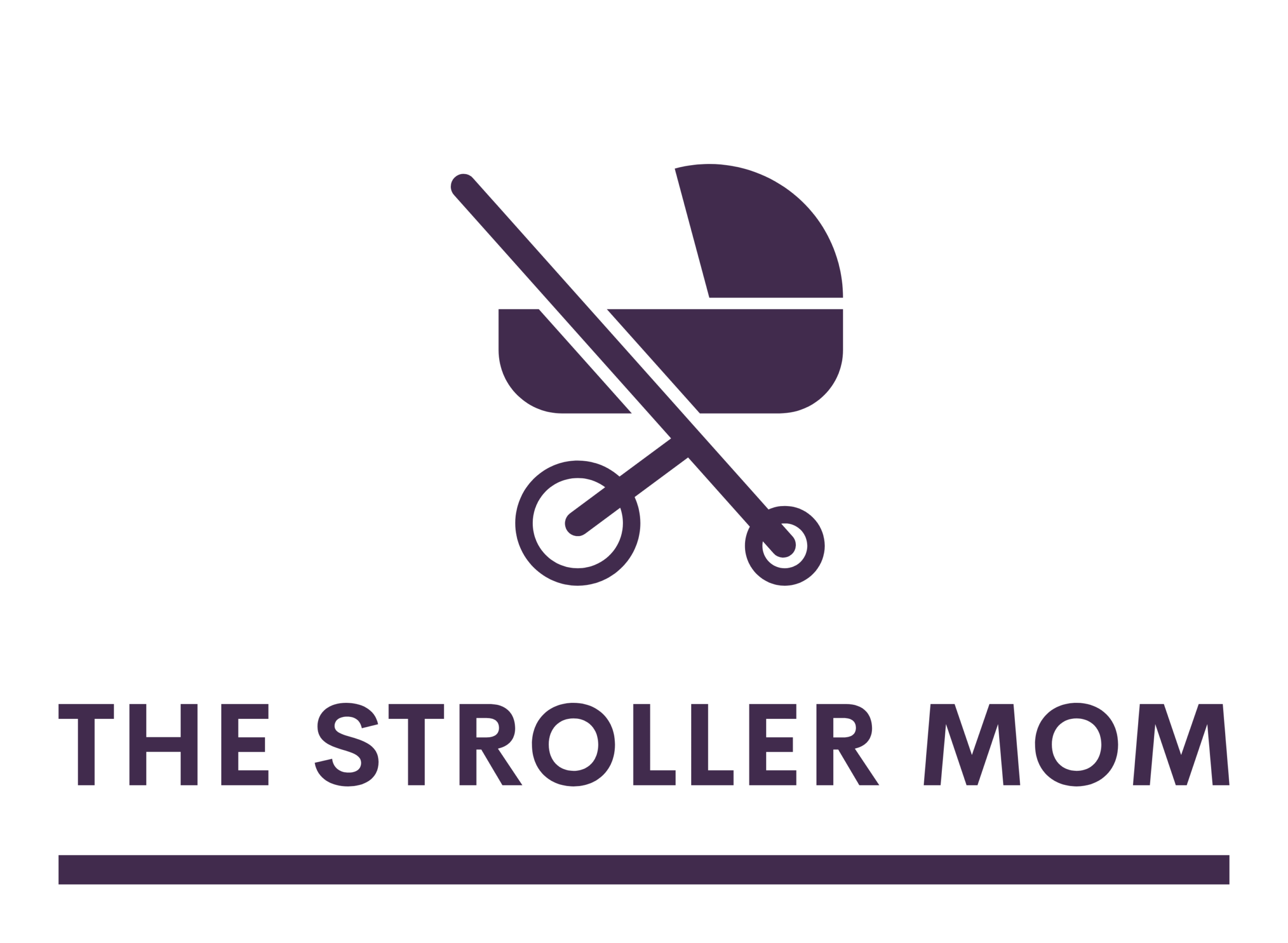 https://thestrollermomblog.com/wp-content/uploads/2023/02/Color-logo-no-background.png