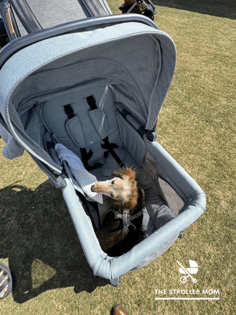 Legroom of wagon